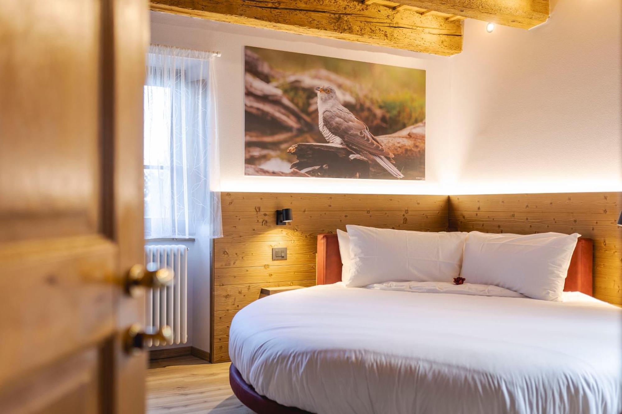 Granduca Mountain Wellness Apartments كامبينيا المظهر الخارجي الصورة